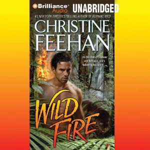 Wild Fire By Christine Feehan AudioBook Free Download