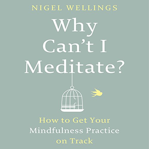 Why Can't I Meditate? By Nigel Wellings Why Can't I Meditate? By Nigel Wellings
