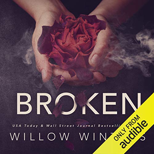 possessive by willow winters