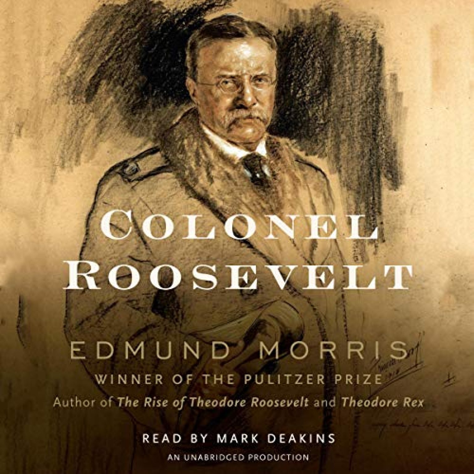 colonel roosevelt book colonel roosevelt book