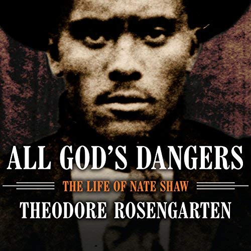 All God's Dangers By Theodore Rosengarten All God's Dangers By Theodore Rosengarten