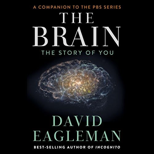 The Brain By David Eagleman The Brain By David Eagleman