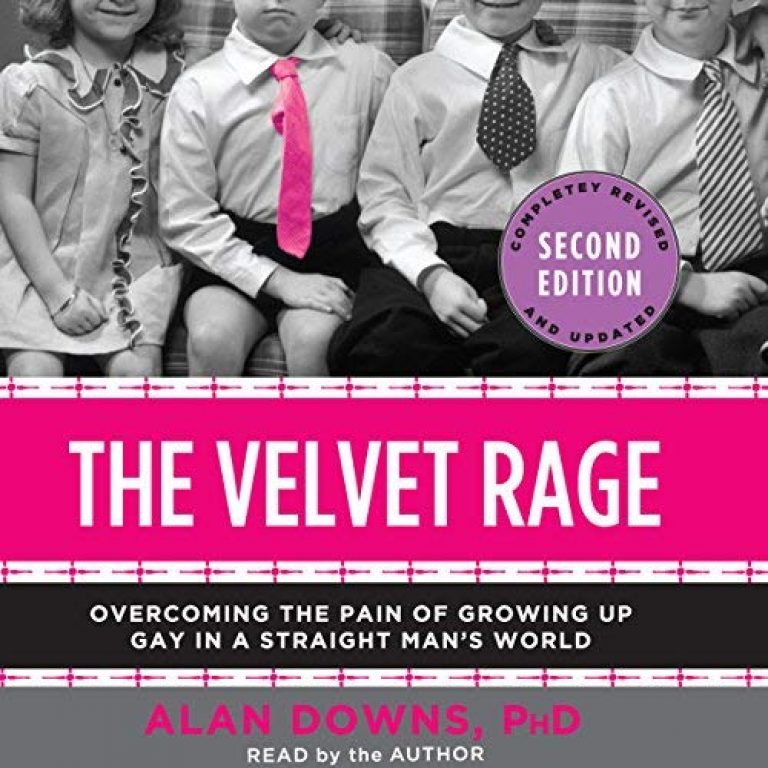 the velvet rage by alan downs the velvet rage by alan downs