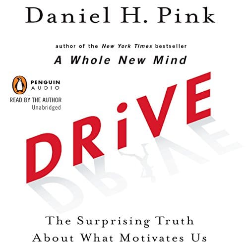 Drive By Daniel H. Pink