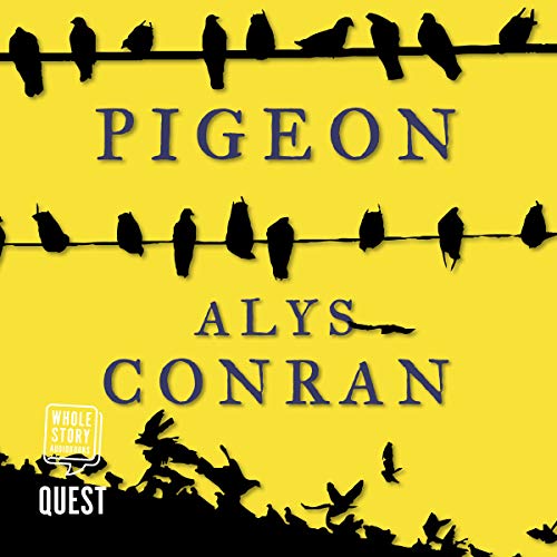 Pigeon By Alys Conran