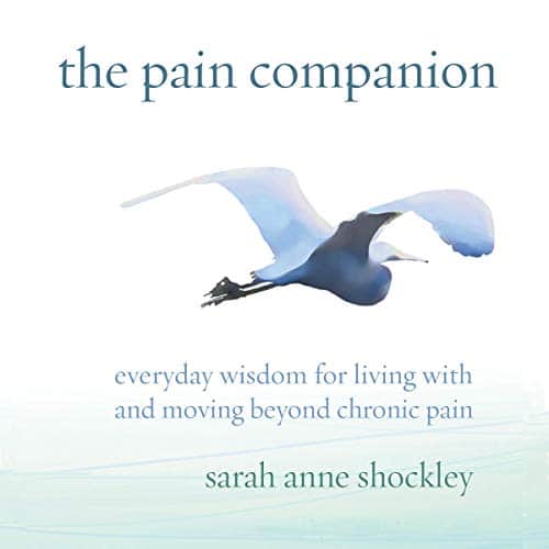 The Pain Companion By Sarah Anne Shockley The Pain Companion By Sarah Anne Shockley