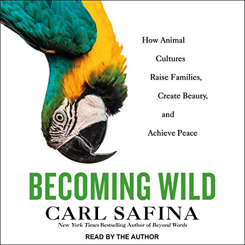 Becoming Wild By Carl Safina Becoming Wild By Carl Safina