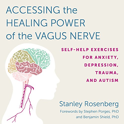 Accessing the Healing Power of the Vagus Nerve By Stanley Rosenberg, Benjamin Shield Accessing the Healing Power of the Vagus Nerve By Stanley Rosenberg, Benjamin Shield