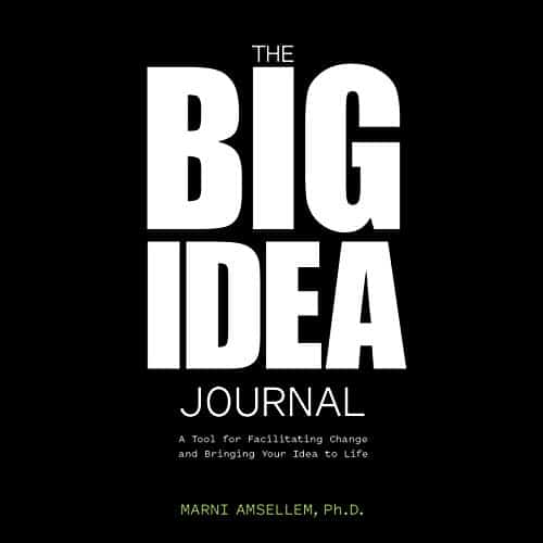 The Big Idea Journal By Marni Amsellem PhD The Big Idea Journal By Marni Amsellem PhD