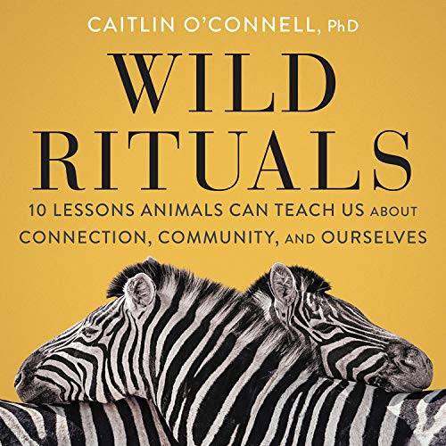 Wild Rituals By Caitlin O'Connell Wild Rituals By Caitlin O'Connell