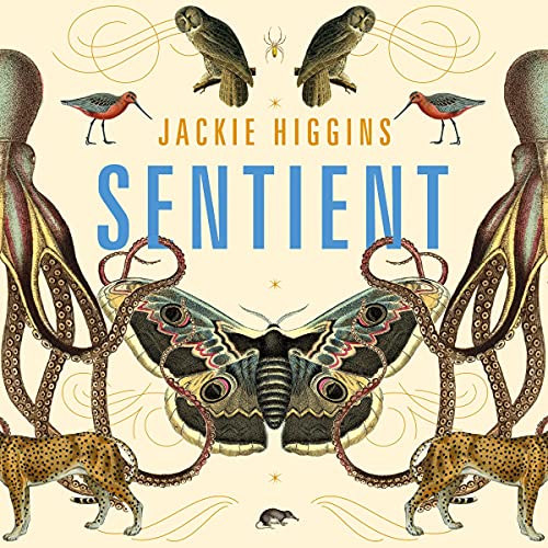 Sentient By Jackie Higgins Sentient By Jackie Higgins