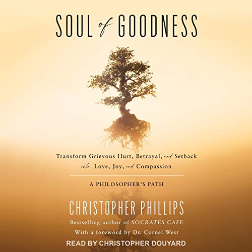 Soul of Goodness By Christopher Phillips PhD
